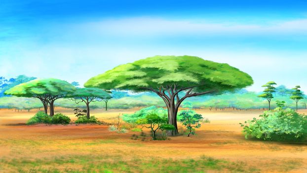 Digital painting of the Acacia Trees in African bush