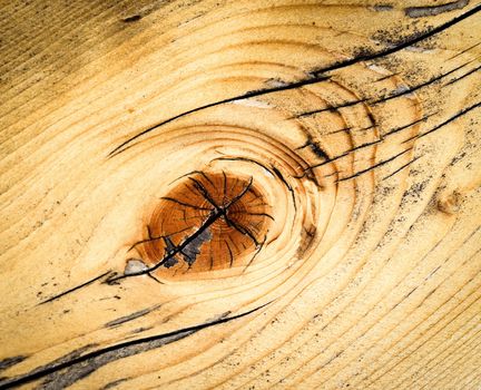 abstract background or texture detail painted spruce boards