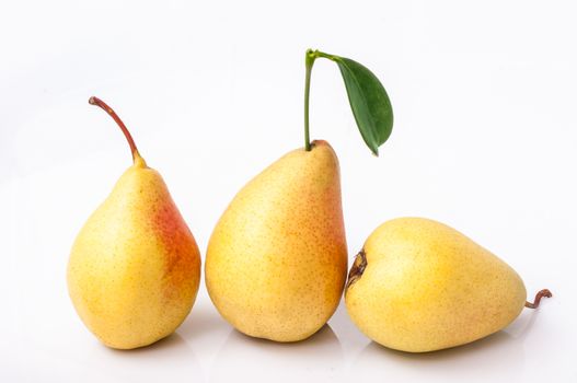 Three yellow pears isolated on white background