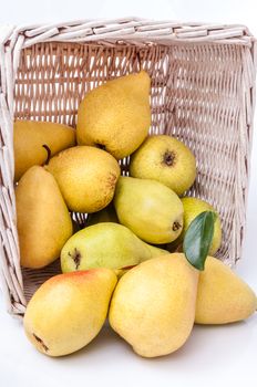 Yellow pears in a basket isolated on white background