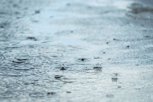 Rain drops in a puddle