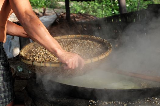 Vietnamese people process mussel, they cook seafood in boil water by firewood, mussel in famous food in Hoian, Vietnam