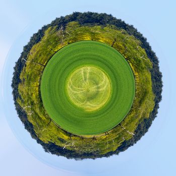 Beautiful summer rural landscape with field and blue sky. Rural landscape. Spring landscape. green field in countryside. Beautiful countryside. Beautiful Little planet ecology concept. Tiny green planet