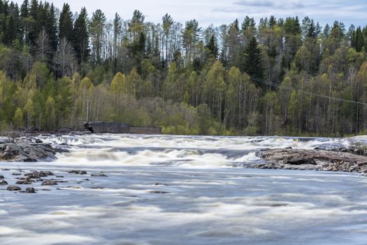 Umea River in Baggbole, Sweden with trees.