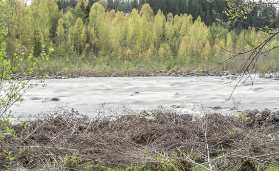 Umea, River in Sweden with Forest.