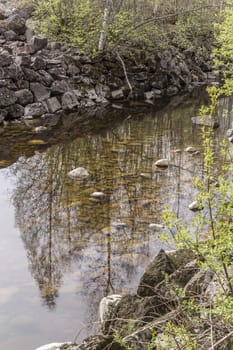 Trees Reflecting in Water with rocks.