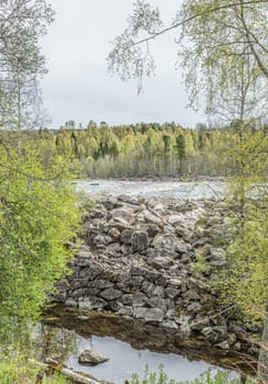 Umea River in Baggbole, Sweden with trees.