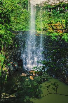 Purling brook Falls at Springbrook National Park in Queensland.