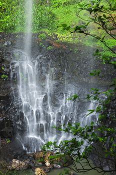 Purling brook Falls at Springbrook National Park in Queensland.