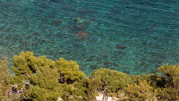 Aeral view of wonderful sicilian sea 
with maritime pine trees