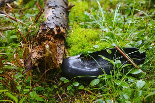 Old Shoe lost in the woods near a stump overgrown with moss and grass