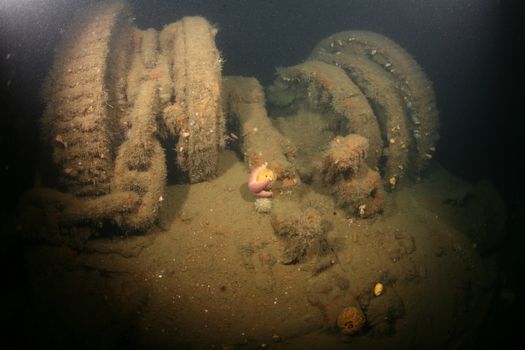 Baltic Sea underwater diving Ship Wreck photo