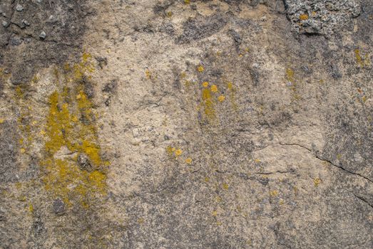 fragment of a concrete wall that for a long time exposed to different climatic conditions