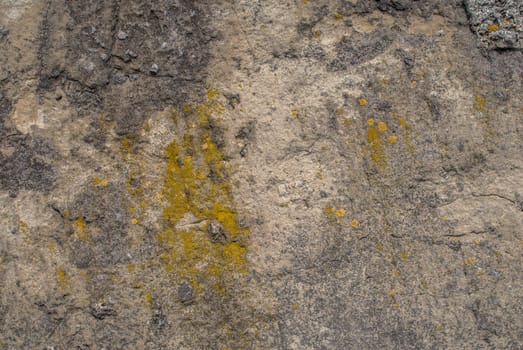 fragment of a concrete wall that for a long time exposed to different climatic conditions