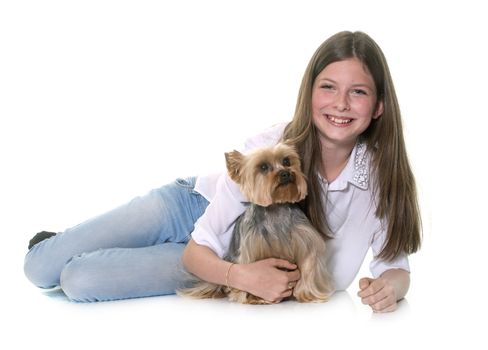 yorkshire terrier and teenager in front of white background