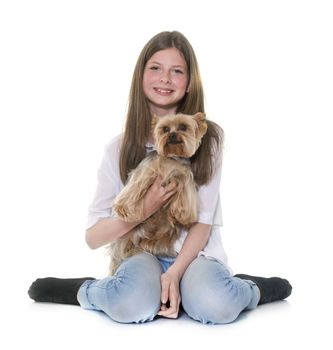 yorkshire terrier and teenager in front of white background