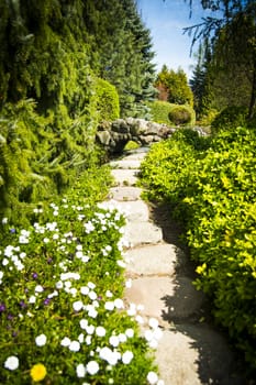 Garden path surrounded by plants
