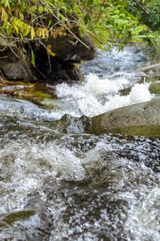 Streams in tropical forests water are flowing downwards