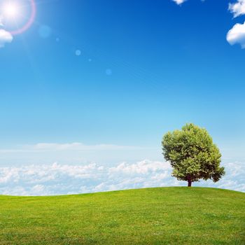 Summer landscape picture with blue sky and green grass