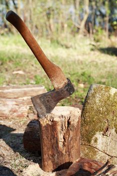 Firewood Splitting. Stack of logs with axe on green clearing in forest