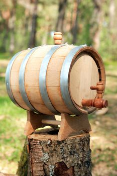 Oak wine barrel on wooden stump in forest