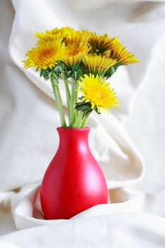 Bunch of yellow dandelions in nice red vase on white cloth