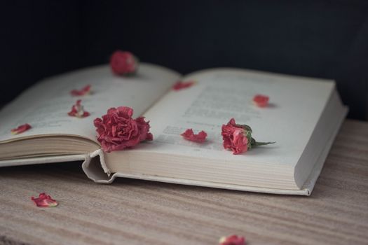 old open book with dry pink roses