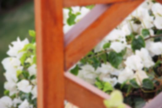 wooden fence and white flowers Perennial and annual Garden, plants in the flowerbed blurred