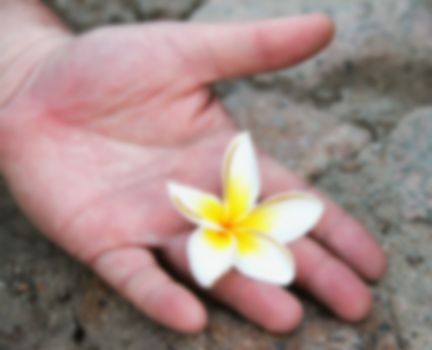man's hand with exotic flower, blurred