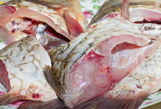 raw fish cut into slices on a plate, cooking, food, seafood, healthy eating