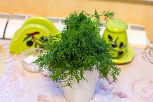 dill in a beam in the kitchen in a cup for cooking