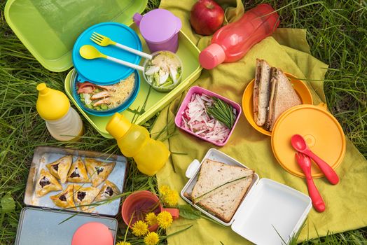 Top view of various picnic food at outdoor