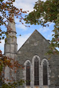 church in killarney county kerry ireland framed by trees