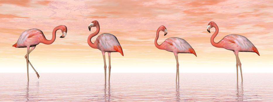 Four pink flamingos standing in water by sunset light - 3D render