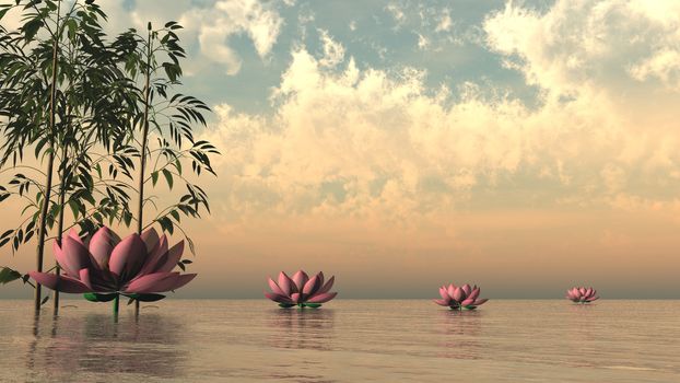 Pink lily flowers and bamboos upon water by sunset - 3D render