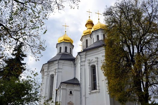 Golden domes of the Christian church of the 18th century