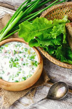 Okroshka,a cold summer soup of fresh vegetables,meat and yogurt