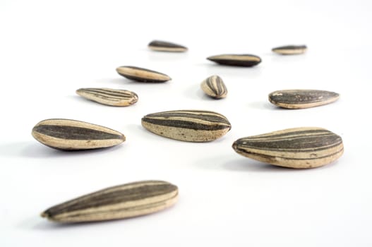 Close up Sunflower seeds on white background.