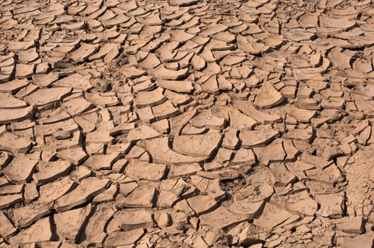 Cracked dry land without water