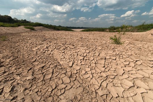 Land with dry and cracked ground. Desert