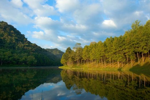 pang ung , reflection of pine tree in a lake , meahongson , Thainand