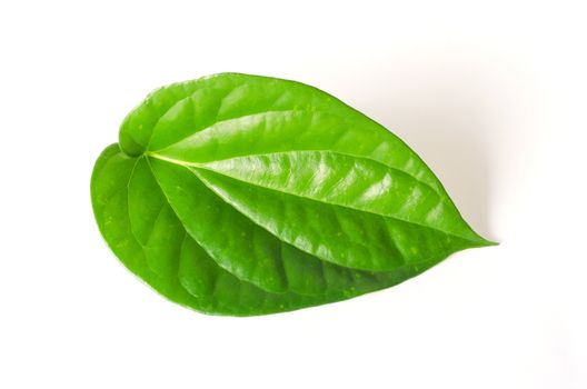 betel leaf on white background.