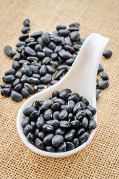 Black bean seeds in white spoon on sack background.