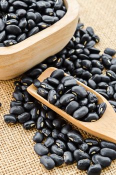 Black bean seeds in wooden spoon on sack background.