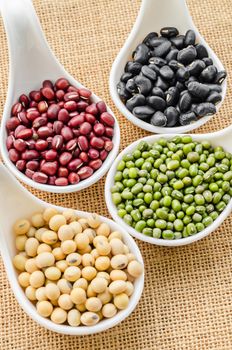 Set of beans, Mung bean, Soy or yellow bean, Azuki or red bean and black bean in white spoon on sack background.