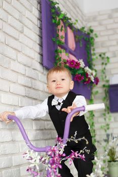 Portrait of an elegant little boy on a bicycle in studio decorated