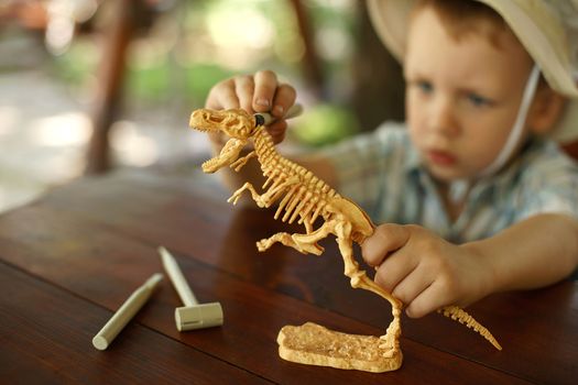 little boy wants to be an archaeologist