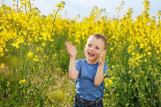 Little boy jumping and clapping and having fun among the bright yellow flowers in the meadow. Positive emotions.