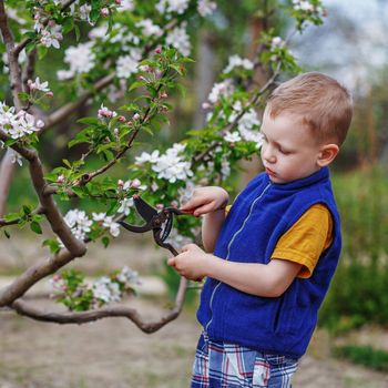 Beautiful blond little boy working in the spring garden