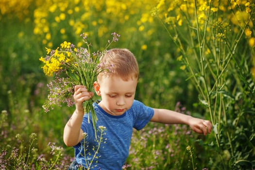 Cute blonde little boy running with a bouquet of flowers on a yellow meadow
